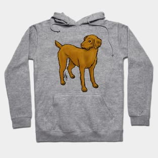 Dog - Vizsla - Wirehaired Hoodie